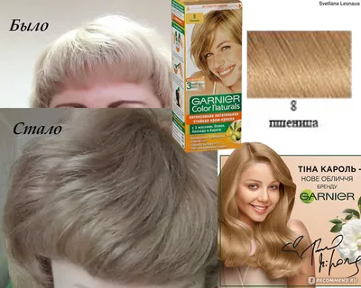 Отзыв о Краска для волос Garnier тон 8 Пшеница | Отличный результат за  небольшие деньги