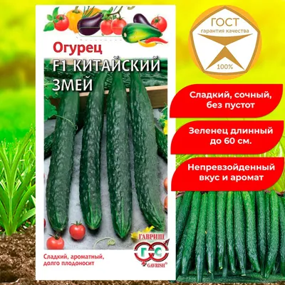 Помидор, огурец, баклажан и красный перец чили родная растительность  таиланда | Премиум Фото