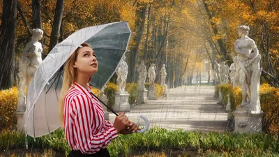 Красота осени в Летнем саду Петербурга | Путешествия петербуржца | Дзен