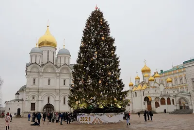 Кремлевская елка