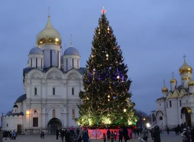 Главная елка страны