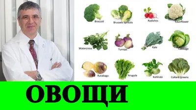 картинки : Натуральные продукты, Овощной лист, Пища, крестоцветные овощи,  местная еда, Веганское питание, Суперпродукты, растение, ингредиент,  производить, Вегетарианская еда, вся еда, Зеленая зелень, салат ромэн,  цветок, кухня, шпинат, Красная капуста ...