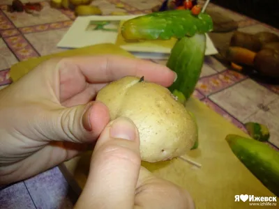 Огурец Зеленый Змей F1+Зеленый крокодил 🥒 купить с доставкой почтой, цены,  фото в интернет-магазине Dolinasad.by