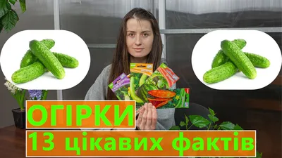 Крокодил 🐊 Гена из огурца» — создано в Шедевруме