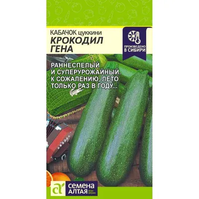 Огурцы семена_огурец_агроэлита - купить по выгодным ценам в  интернет-магазине OZON (1269135038)