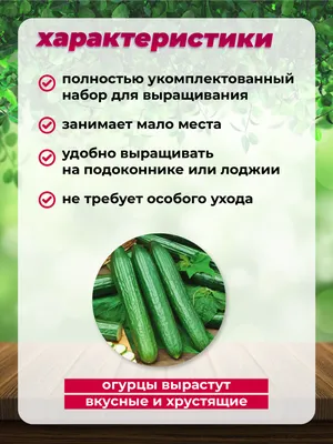 Огурцы круглый год оптом от производителя. - купить у поставщика АСТ,ООО