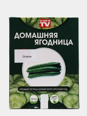 Урожай огурцов круглый год без грядок: нужен всего лишь мешок сахара |  21.05.2023 | NVL