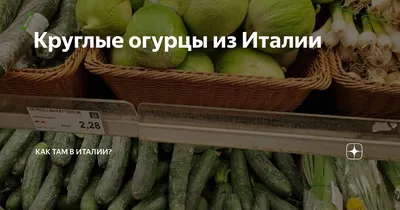 Набор для выращивания Огурцы круглый год домашняя ягодница, чудо ягодница,  сказочный сбор