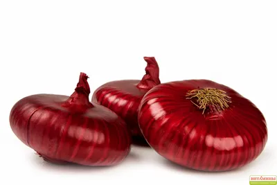 Лук крымский – Овощи – купить с доставкой по Москве в интернет-магазине  ВИТАМИНЫ