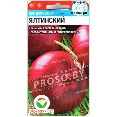 Купить семена Лук репчатый Ялтинский красный в Минске и почтой по Беларуси