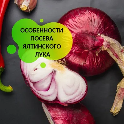 Крымский лук на рынке города в Ялте Стоковое Фото - изображение  насчитывающей специи, крым: 184305434