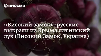 Лучший во всём: Крымские ученые вывели новый сорт ялтинского лука - Радио  Крым