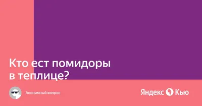 Как пасынковать помидоры: пошаговая инструкция, видео | ivd.ru