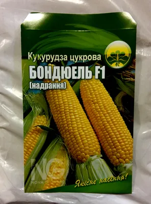 https://bonduelle.ru/products/bonduelle/canned/corn/molodaia-kukuruza-340g.html