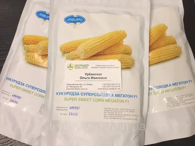 Семена кукурузы Мегатон, 10 г купить по низким ценам в интернет-магазине  Uzum (405970)