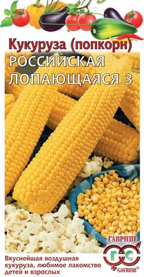 ✓ Семена Кукуруза (попкорн) Российская лопающаяся 3, 5,0г, Гавриш, Овощная  коллекция по цене 0 руб. ◈ Большой выбор ◈ Купить по всей России ✓  Интернет-магазин Гавриш ☎ 8-495-902-77-18