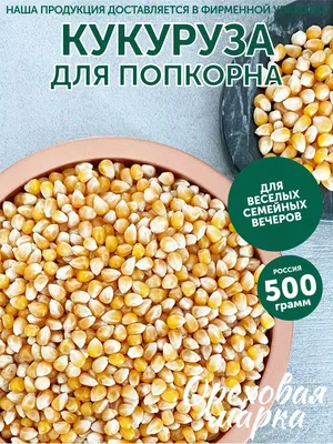 Кукуруза для попкорна, крупное зерно, 500 грамм, Ореховая Марка - купить с  доставкой по выгодным ценам в интернет-магазине OZON (694709982)