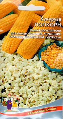 Кукуруза Попкорн Барабанщик F1 Popcorn Dobosz F1 - купить семена овощей с  доставкой по Украине в магазине Добродар