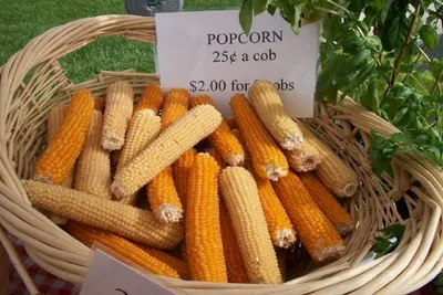 Кукуруза Попкорн 20г – купить с доставкой по Украине