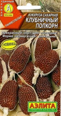 Зерно кукурузы (бабочка) сорт \"Премиум попкорн\" 5 кг. - купить с доставкой  по выгодным ценам в интернет-магазине OZON (196826229)