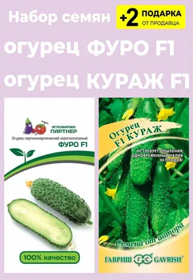 Огурцы тепличные Кураж 1кг