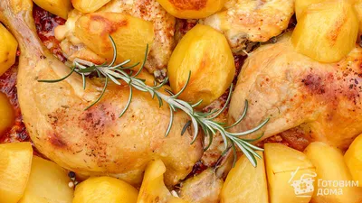 Курица в духовке с картошкой фото фото