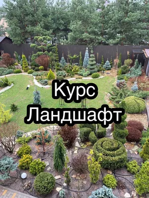 Курс ландшафт