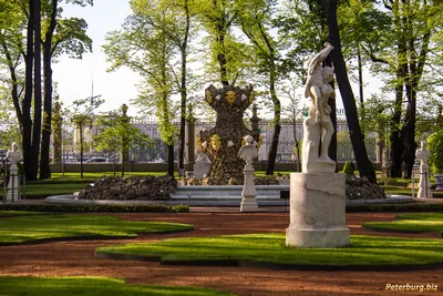 Летний сад в Петербурге, как доехать, что посмотреть - Блог о  самостоятельных путешествиях