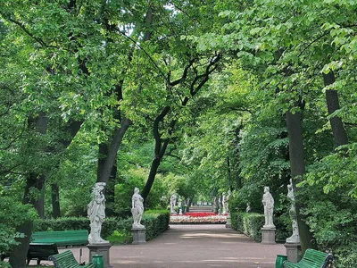 Летний сад в Кронштадте - о парке, фото, где находится