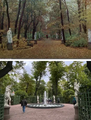 Летний сад на фото тогда и сейчас: позитивные и негативные изменения |  Заметки из Петербурга | Дзен