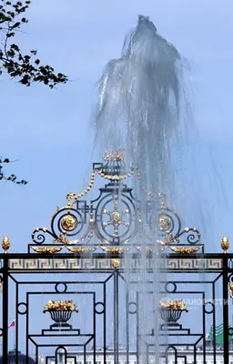 Летний сад, Санкт-Петербург - «Памятник садово-паркового искусства 18 века.  Восторг и красота.» | отзывы