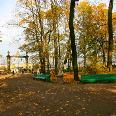 Летний сад в Санкт-Петербурге: любимое детище Петра Первого