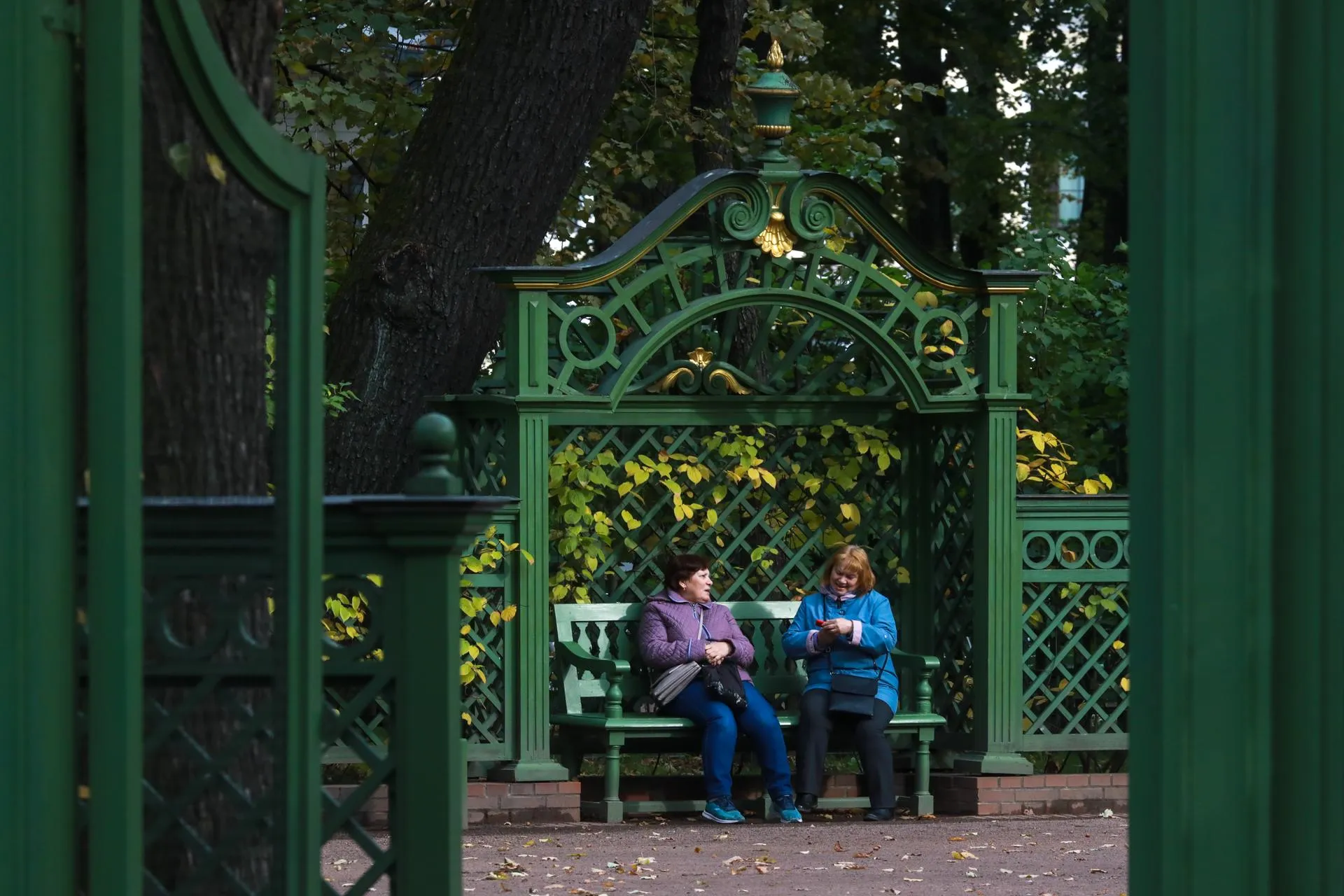 Парки закрыты. Призраки летнего сада. Сады закрыли в Петербурге. Подснежники в летнем саду.