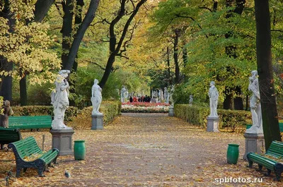 Осень в Летнем саду. Летний сад. Фото Санкт-Петербурга