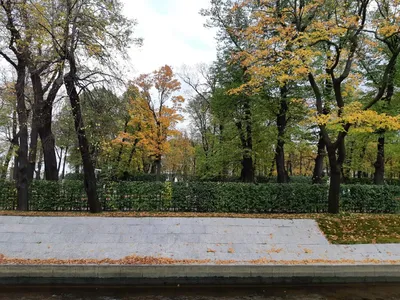 Летний Сад Осенью / Санкт-Петербург - YouTube