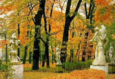 Осень в Петербурге: Летний Сад | Пейзажи, Пейзаж картина маслом, Осенний  пейзаж