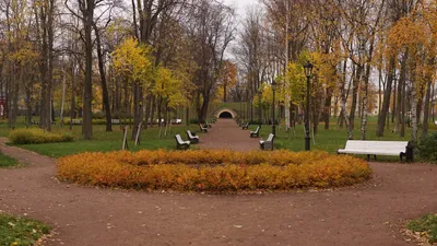 Летний сад, осень» картина Ильина Владимира маслом на холсте — купить на  ArtNow.ru