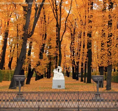 Золотая Осень Летний Сад Санкт Петербург стоковое фото ©defrocked 232095600