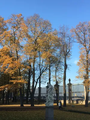 Ответы Mail.ru: Картина \"Летний сад осенью\" Бродского. Это сад в Питере или  другой?
