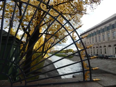 ТОП 5 садов Санкт-Петербурга, где можно насладиться золотой осенью |  Петербургские мадамы | Дзен