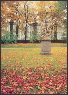 Осень в Летнем саду» — фотоальбом пользователя alla38 на Туристер.Ру