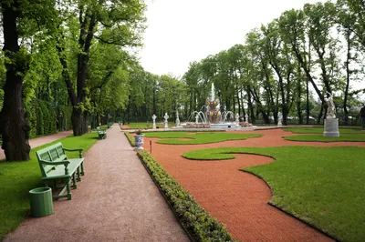 Летний сад в Санкт-Петербурге, Питере, СПБ