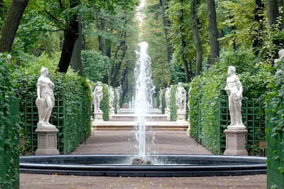 Файл:Санкт-Петербург, Летний сад. Главная аллея 1.jpg — Википедия
