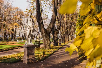 Летний сад города Санкт-Петербурга | Сады Русского Музея