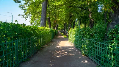 Летний сад | Что посмотреть | Санкт-Петербург