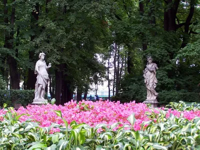 Где в Петербурге прогуляться в старинном саду средь скульптур? — 12 фактов  о Летнем саде | Санкт-Петербург Центр