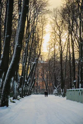 Летний сад приглашает на зимние прогулки - Родниковский РАБОЧИЙ