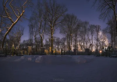 Санкт-Петербург, Летний сад зимой Stock Photo | Adobe Stock