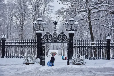 Зима, Санкт Петербург,\"Летний сад\"…» — создано в Шедевруме