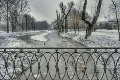 Стоит ли идти в петербуржский Летний сад зимой | Петров.Путешествия | Дзен